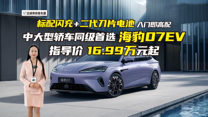标配闪充+二代刀片电池 入门即高配 中大型轿车同级首选 海豹07EV