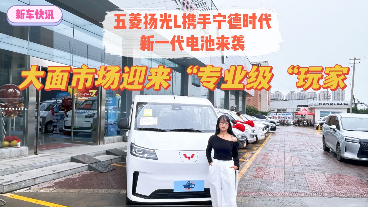 五菱扬光L携手宁德时代 新一代电池来袭 大面市场迎来&ldquo;专业级&rdquo;玩家
